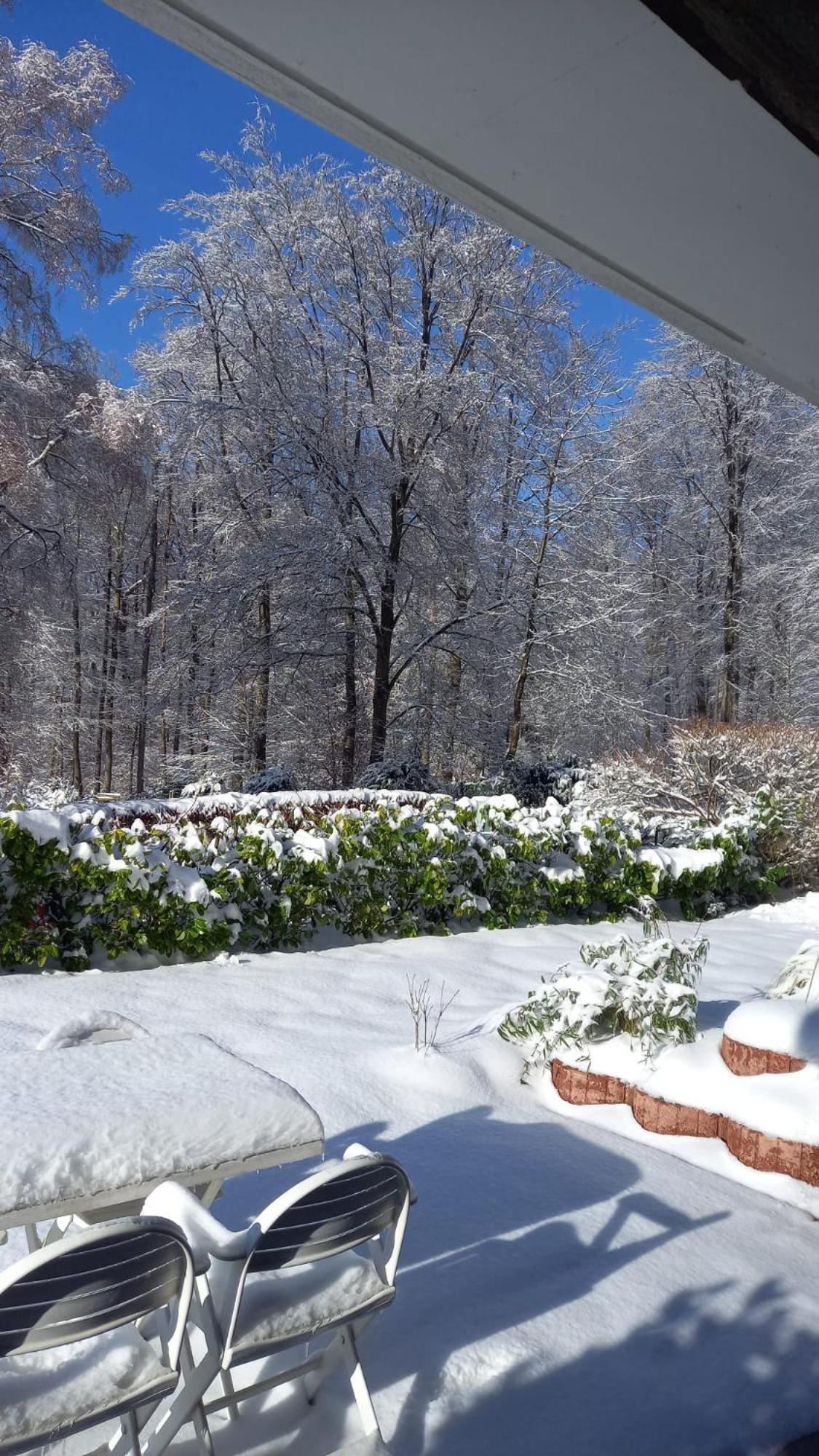 Ferienwohnung Haus am Wald Hillscheid Exterior foto