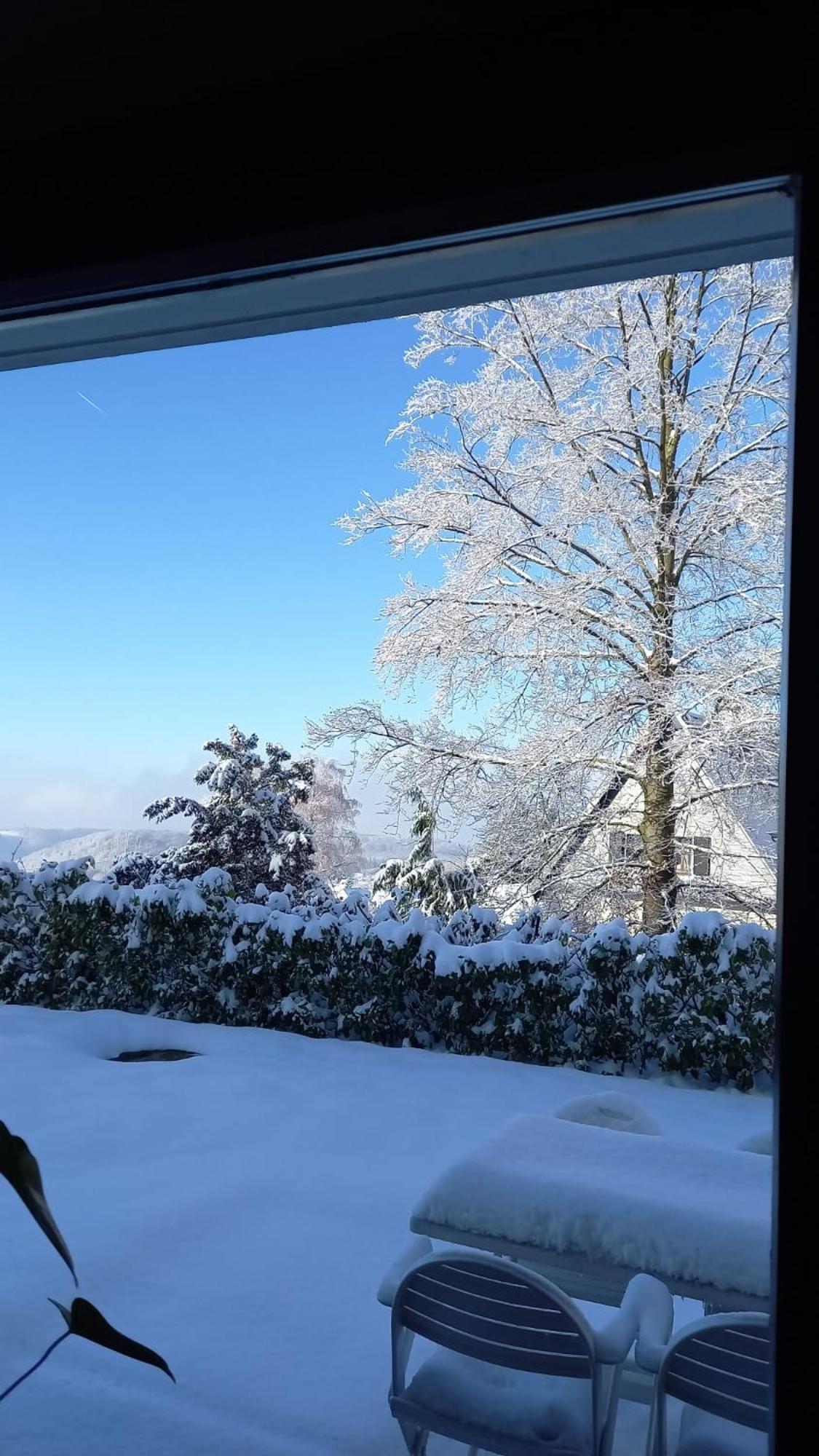 Ferienwohnung Haus am Wald Hillscheid Exterior foto