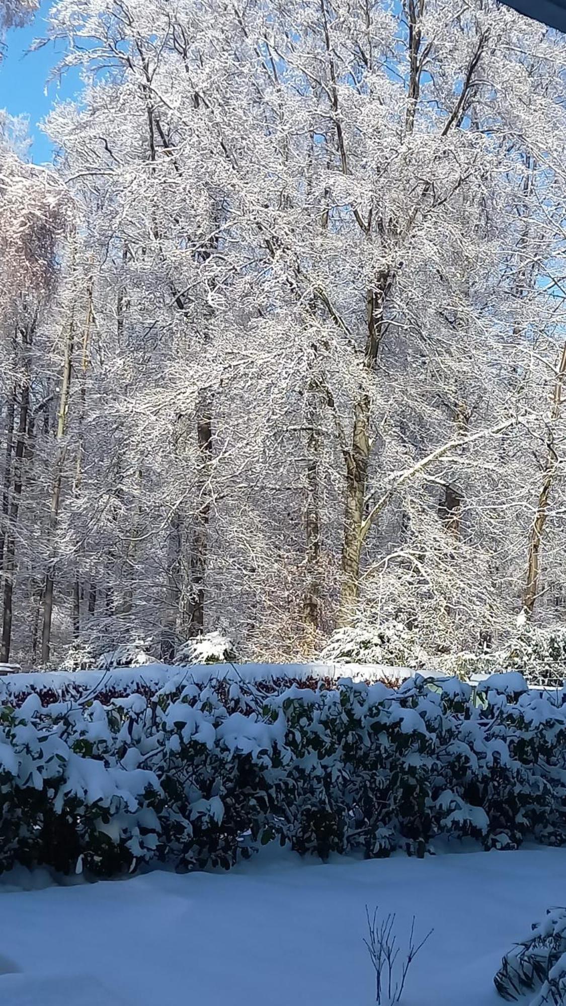 Ferienwohnung Haus am Wald Hillscheid Exterior foto