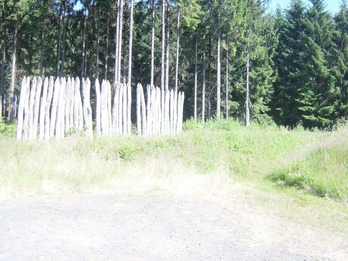 Ferienwohnung Haus am Wald Hillscheid Exterior foto