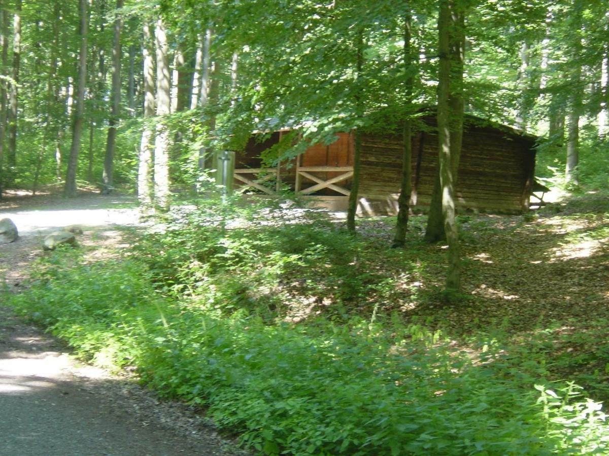 Ferienwohnung Haus am Wald Hillscheid Exterior foto